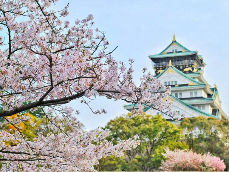 Pourquoi faut-il visiter Yanaka Ginza
