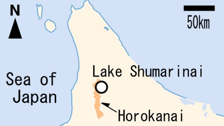 Un oso ataca a un presunto pescador tras encontrar una cabeza humana en el lago Japón