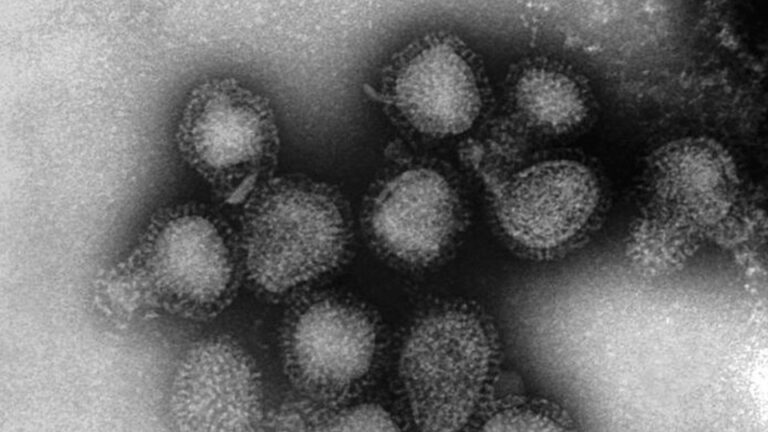 La saison de la grippe au Japon n&rsquo;est pas encore terminée en raison d&rsquo;une faible immunité et de la fin des règles COVID
