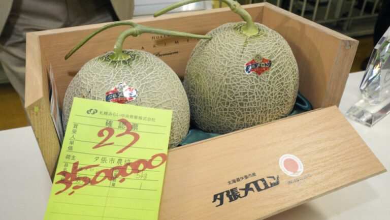 Les melons d&rsquo;Hokkaido remportent 25 000 $ aux enchères, 2e enchère la plus élevée