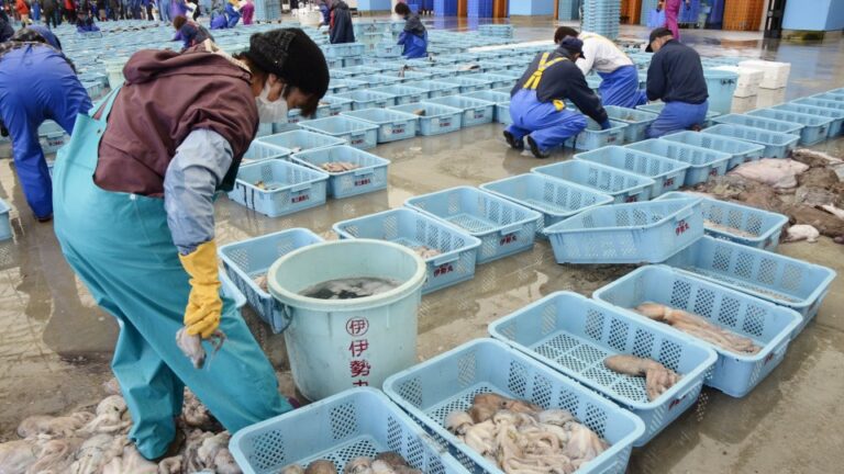 HK envisage l&rsquo;interdiction des fruits de mer dans 10 régions du Japon après la libération de l&rsquo;eau