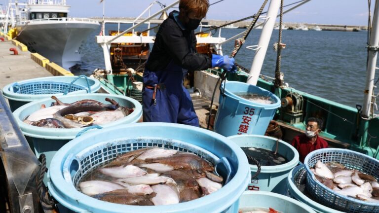 L&rsquo;UE, la Norvège et l&rsquo;Islande lèvent les restrictions à l&rsquo;importation de produits alimentaires japonais après Fukushima