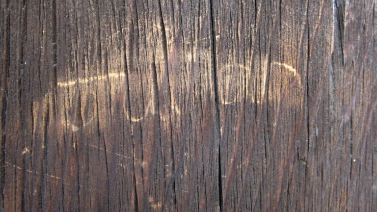 Un temple du patrimoine mondial à Nara vandalisé par un adolescent étranger en visite
