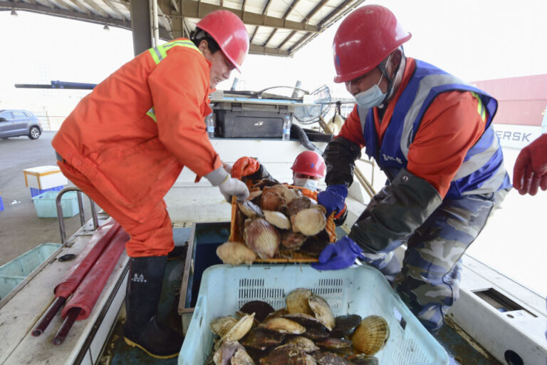 La Chine dit au Japon que les tests sur les fruits de mer sont destinés à protéger les consommateurs