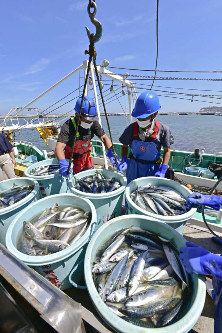 Aucun tritium trouvé dans les poissons 1 mois après le rejet des eaux de Fukushima