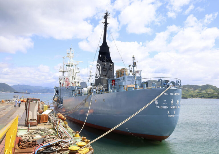 Les États-Unis abandonnent la formulation anti-chasse à la baleine à laquelle le Japon s&rsquo;oppose dans le pacte indo-pacifique