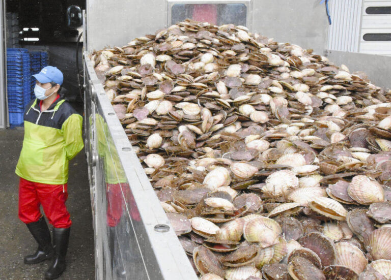 La Chine se dit prête à lever l'interdiction d'importation de fruits de mer japonais