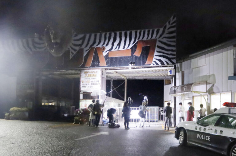 Un employé d&rsquo;un zoo japonais décède après une attaque apparente d&rsquo;un lion