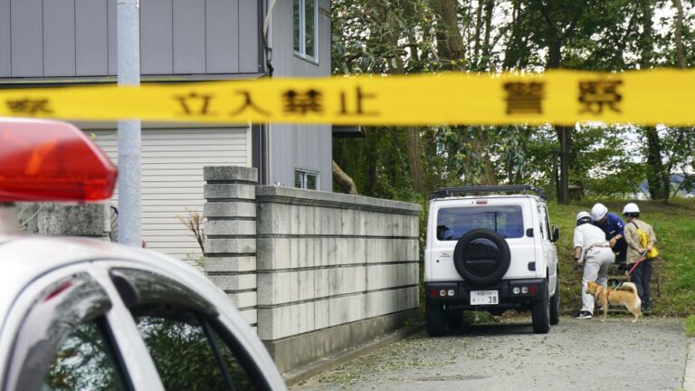 4 personnes attaquées par un ours dans le nord-est du Japon
