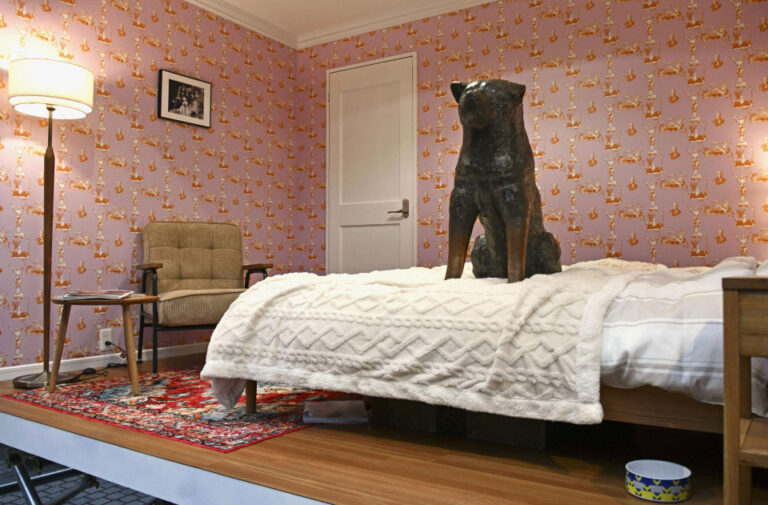 La statue du chien Hachiko, bien-aimée du Japon, exposée dans une chambre éphémère