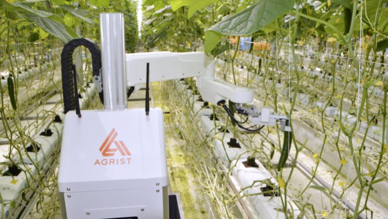 L’utilisation de robots basés sur l’IA est en hausse dans l’agriculture japonaise