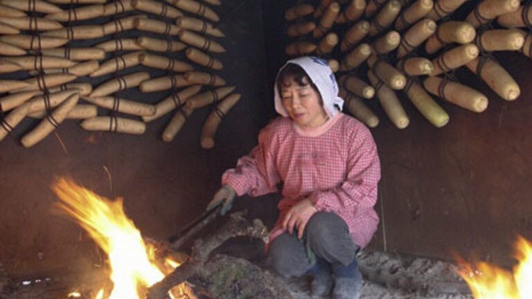Un changement de loi met les agriculteurs japonais traditionnels de daikon dans le pétrin