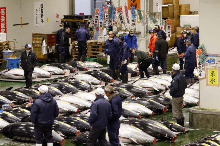 Le thon atteint 114 millions de yens aux enchères du Nouvel An à Tokyo