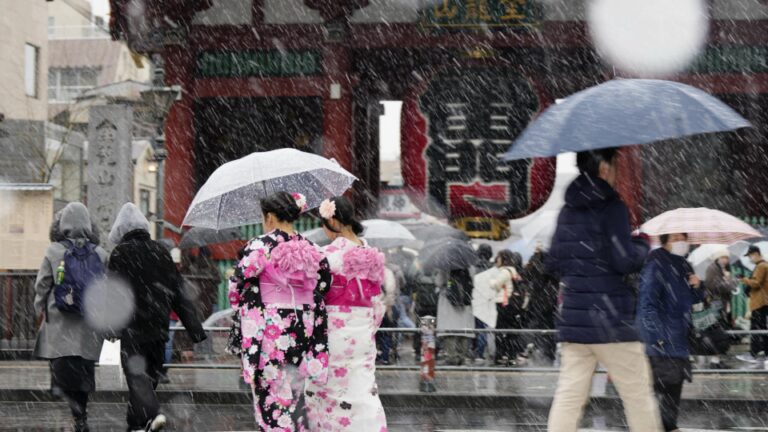 De fortes chutes de neige frappent la région de Tokyo et la circulation est perturbée