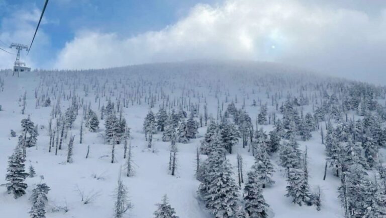 Le temps inhabituellement chaud dans le nord du Japon met un frein aux événements hivernaux