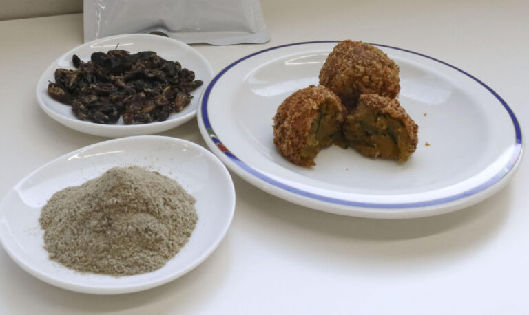 Au Japon, des entreprises d'insectes comestibles « entendent des grillons » à la croisée des chemins