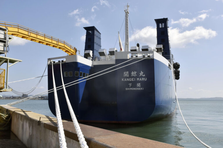 Le Japon envisage d'ajouter une autre espèce de baleine à la liste de chasse commerciale