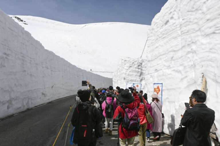 Ouverture de la route touristique alpine du Japon présentant des murs de neige géants