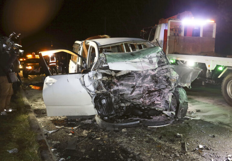 Des cerfs provoquent le chaos sur les routes d'Hokkaido alors que les accidents atteignent un niveau record