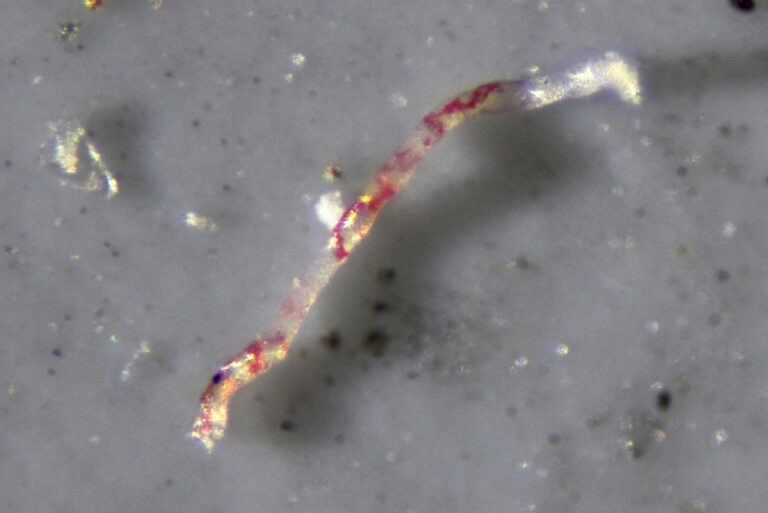 Les microplastiques aéroportés, un nuage sombre à l’horizon pour la santé humaine