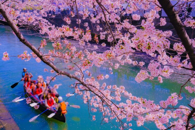 Sports nautiques au Japon : les meilleurs lacs et rivières pour les sports nautiques