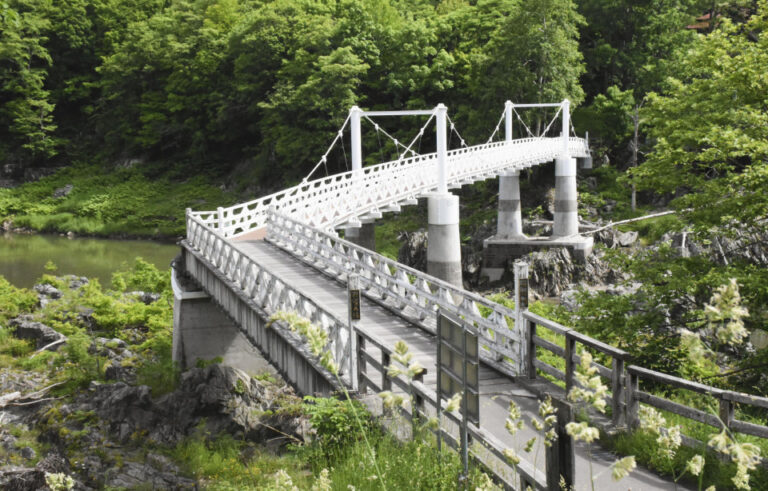 2 femmes arrêtées pour le meurtre présumé d'une lycéenne à Hokkaido