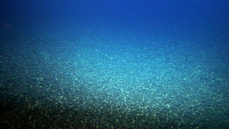200 millions de tonnes de roches métalliques rares découvertes dans les fonds marins au large d'une île du Japon