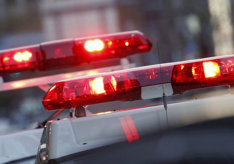 Le corps d'un chat sans tête retrouvé à Kobé, la police recherche un lien avec une autre affaire