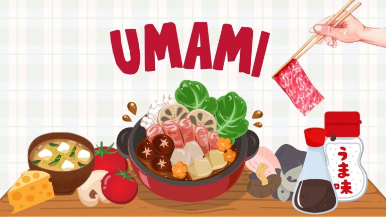 Qu'est-ce que l'umami ? Tout sur le cinquième goût
