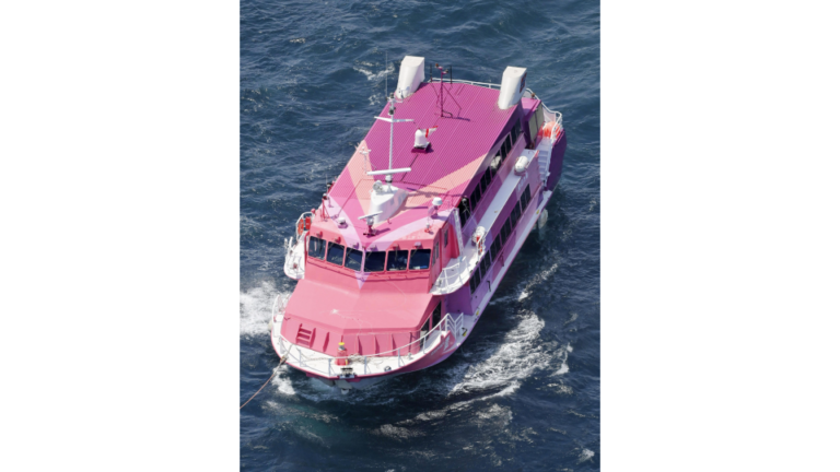 Un ferry avec plus de 100 passagers à bord dérive dans les eaux au sud de Tokyo