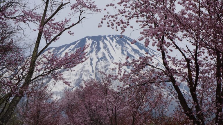 Les meilleurs spots photo à Hokkaido