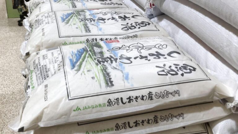 Les inquiétudes concernant la pénurie de riz augmentent au Japon dans un contexte de demande accrue