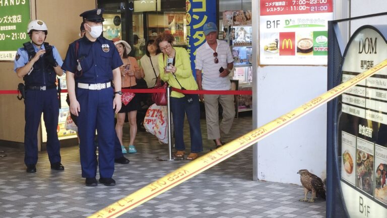 La police intervient alors qu'un faucon incontrôlable surprend les clients près de Tokyo