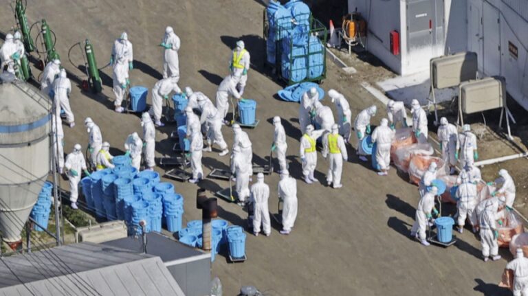 Le Japon confirme la première épidémie de grippe aviaire de la saison à Hokkaido