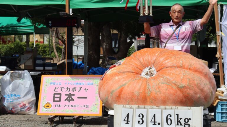 Une citrouille de 434 kg remporte le championnat japonais de pesée