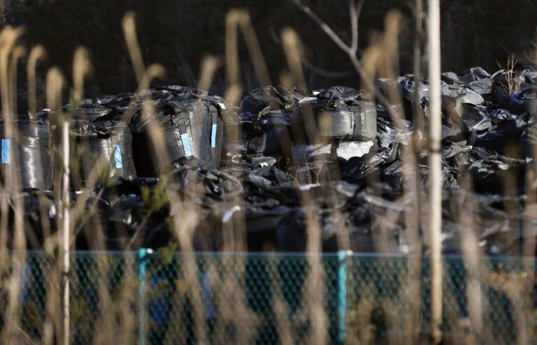 Le Japon décidera d'ici le printemps de l'avenir des terres enlevées lors du nettoyage de Fukushima