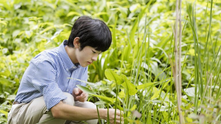 Le prince Hisahito, 2e sur le trône, va s'inscrire à l'Univ. de Tsukuba