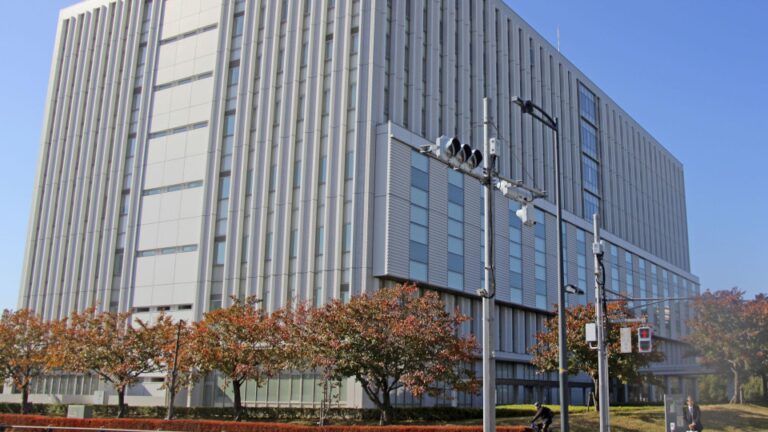 Un homme condamné à perpétuité pour un vol mortel au Japon lié au groupe « Luffy »