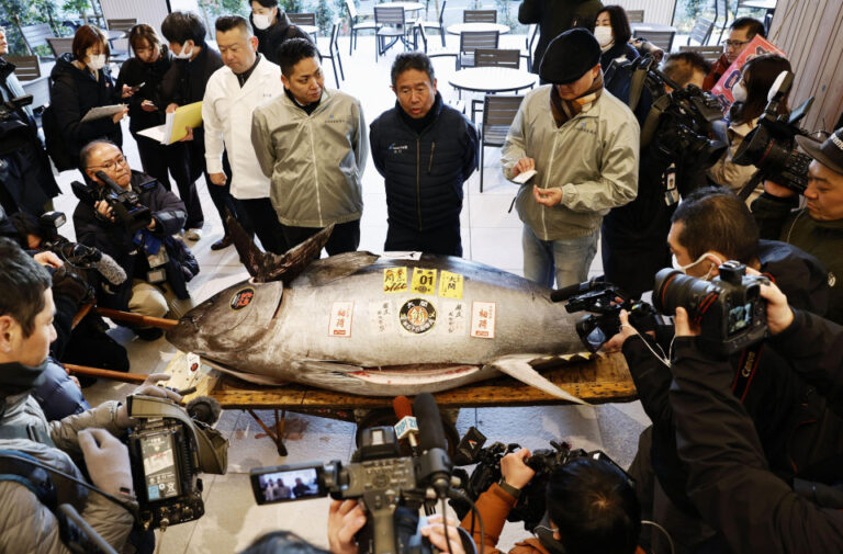 Le thon rapporte 1,3 million de dollars. Les enchères du Nouvel An alimentent les espoirs économiques du Japon