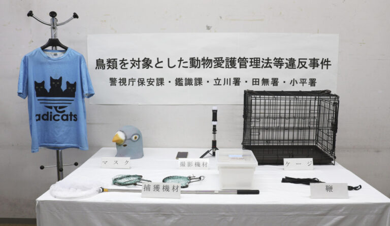 Homme arrêté pour avoir tué Pigeon près de Tokyo