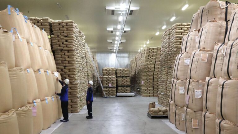 Japon pour libérer 210 000 tonnes des réserves de riz au milieu des prix en hausse
