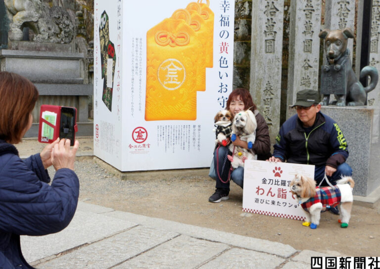 Les amateurs de chiens se réunissent lors de l'événement sanctuaire convivial des canines à Kagawa