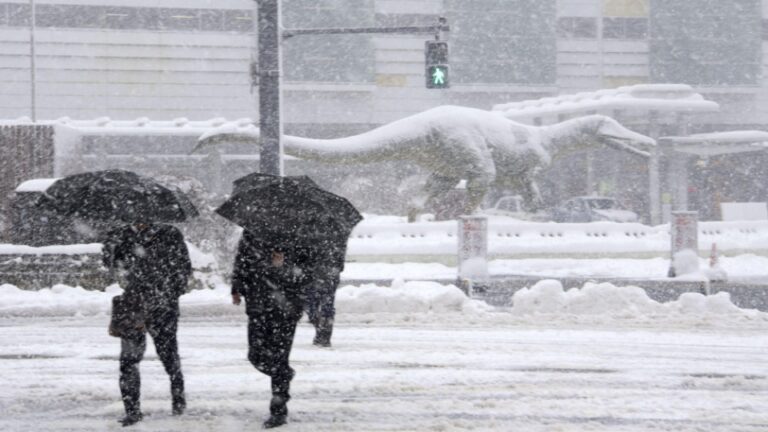 Les chutes de neige fortes frappent la mer de la côte du Japon, perturbe la circulation