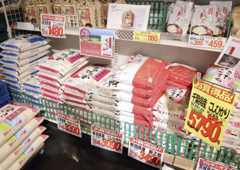 Les importations de riz privé au Japon ont atteint un record au milieu de l'inflation