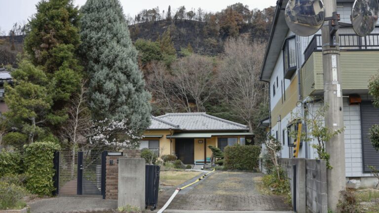 Les incendies de forêt du Japon occidental contenaient après 5 jours
