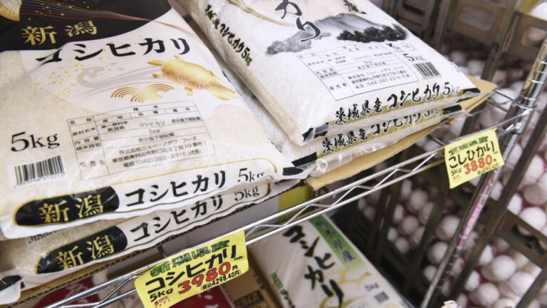 Les prix du riz de Tokyo augmentent de 90% en mars sur l'année: données CPI