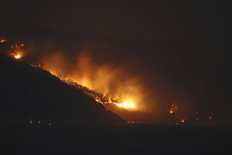 Plus de pompiers à travers le Japon ont exhorté à se joindre à la bataille contre les incendies de forêt