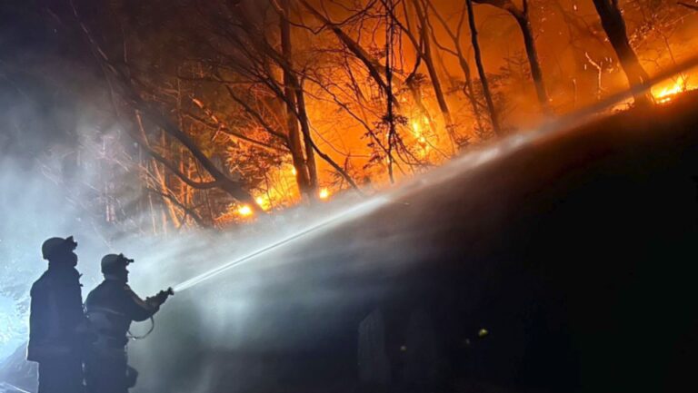 Un incendie de forêt massif dans le nord-est du Japon persiste malgré la pluie
