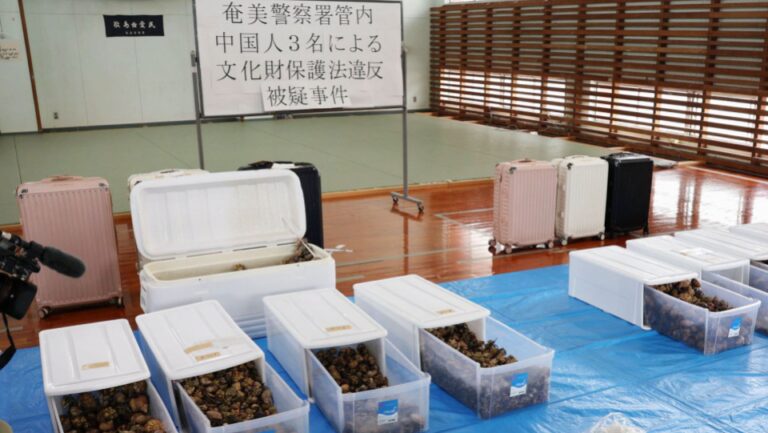 3 Chinois arrêtés au Japon pour possession présumée de crabe protégé