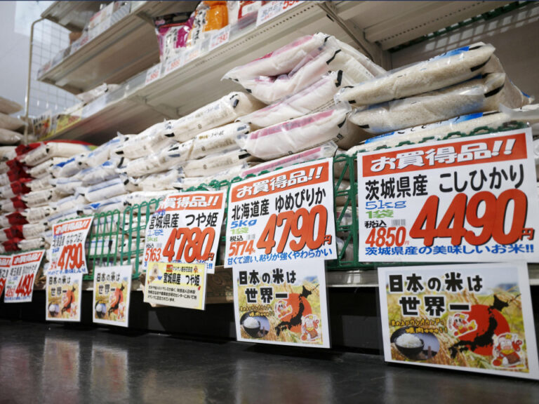 Japan Consumer Watchdog met en garde contre les sites Web d'escroquerie de riz à mesure que les prix montent en flèche